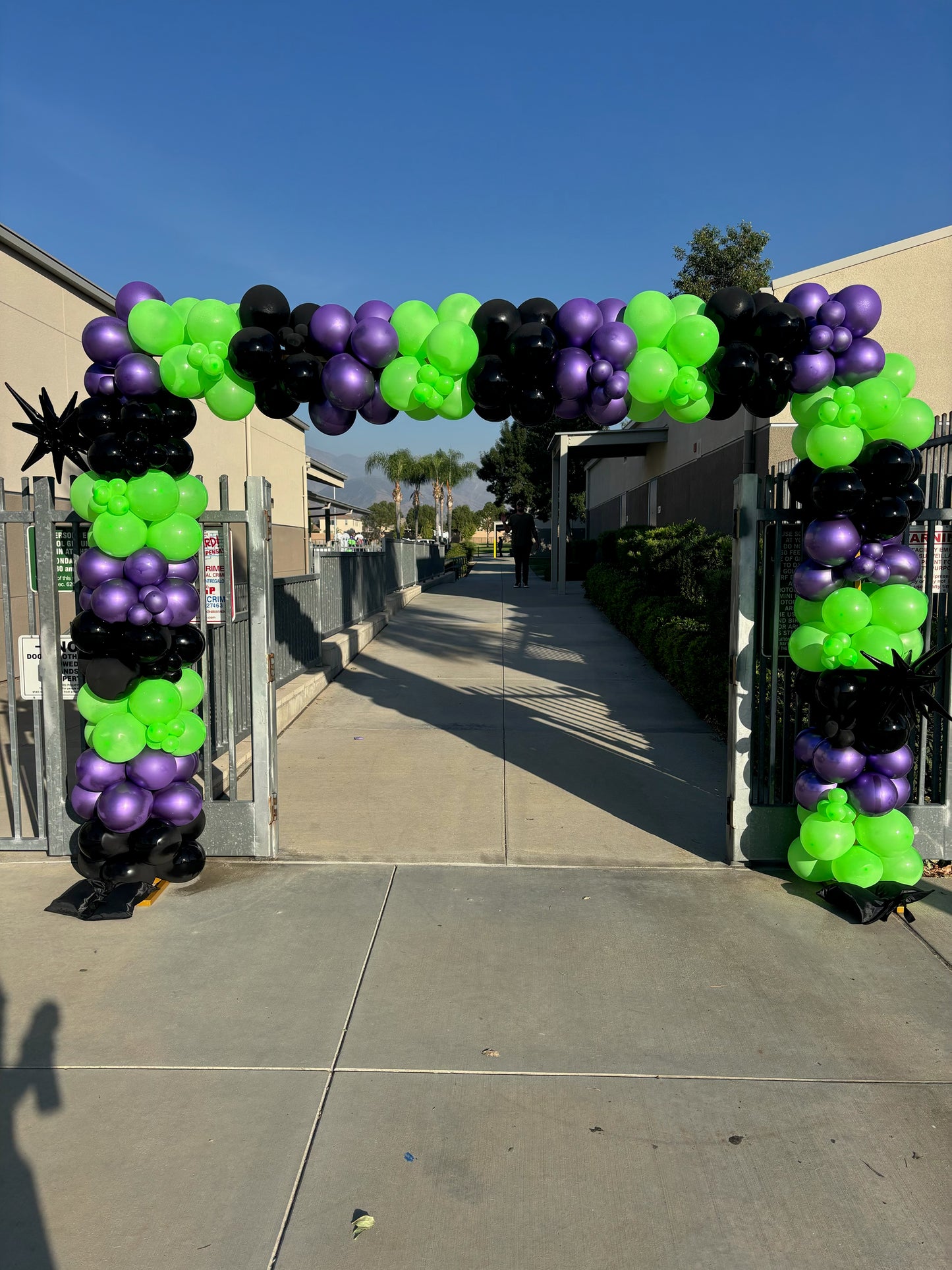 Balloon Garland Installations β $25β$30 per Foot