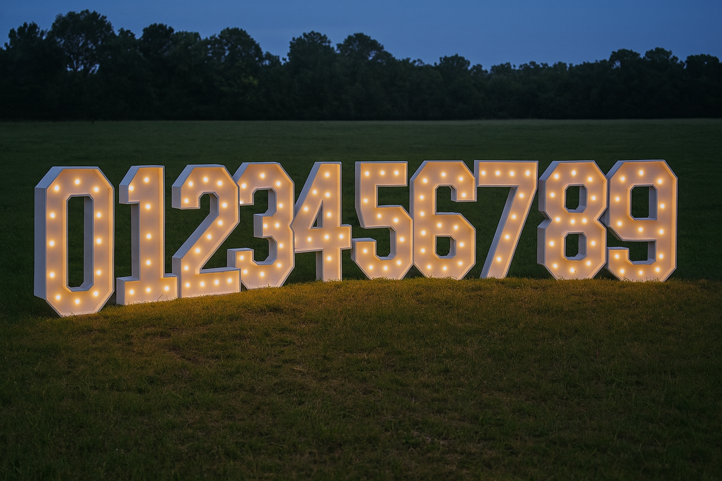 Light Up Marquee Numbers (Rental Only)
